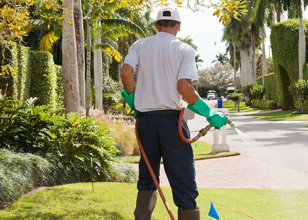 About Laughlintown PA Pest Control